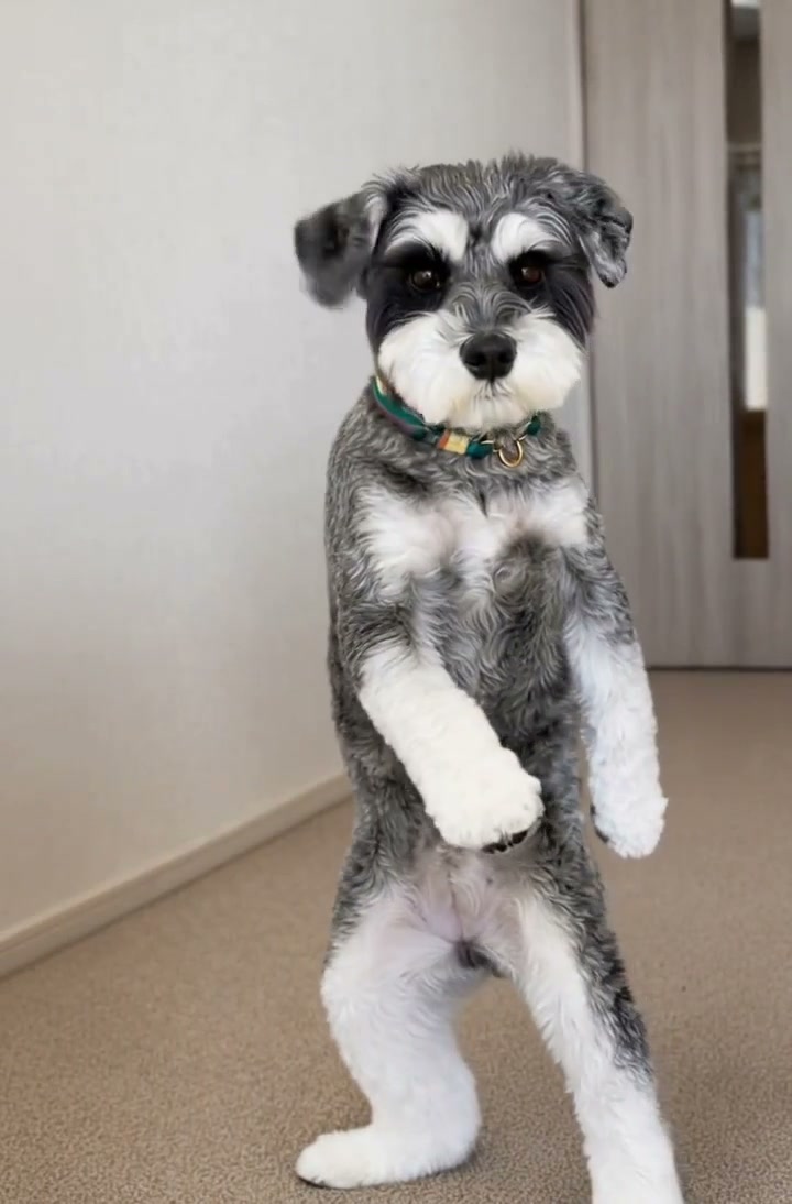 Why Last Call for Love keeps trending